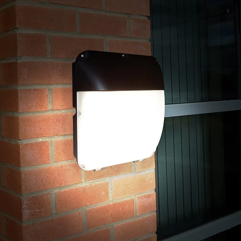 Wallpack LED Lights